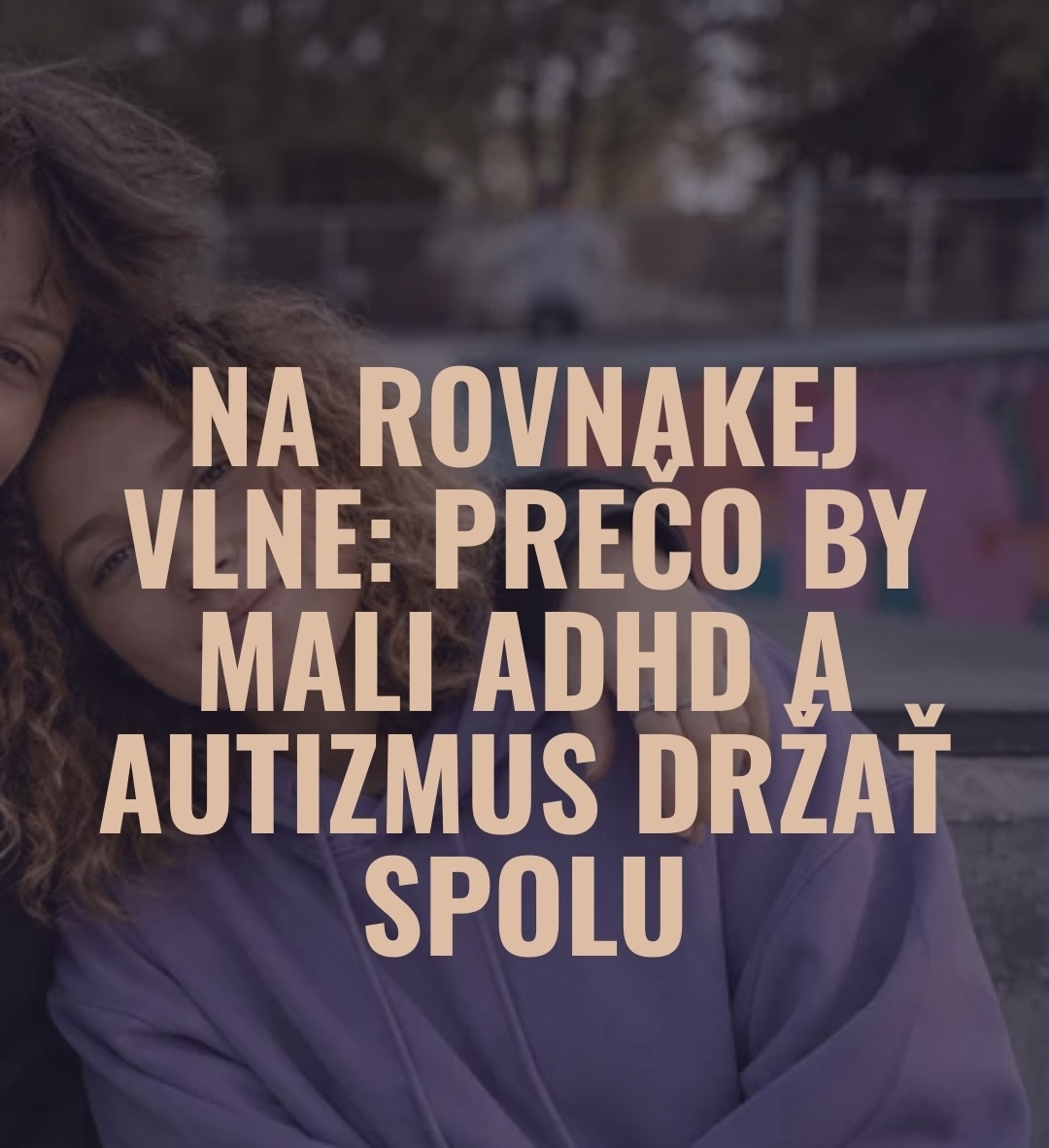 Popis obrázka